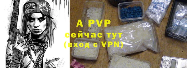 спайс Осинники