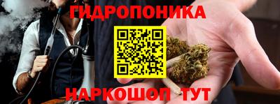 прущие грибы Берёзовский