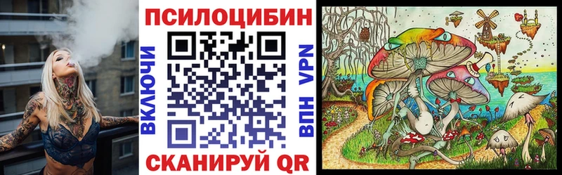 Псилоцибиновые грибы Cubensis Коммунар