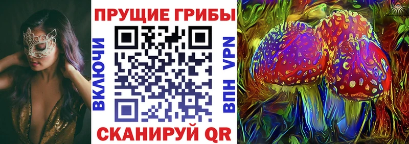 Галлюциногенные грибы Psilocybe Коммунар