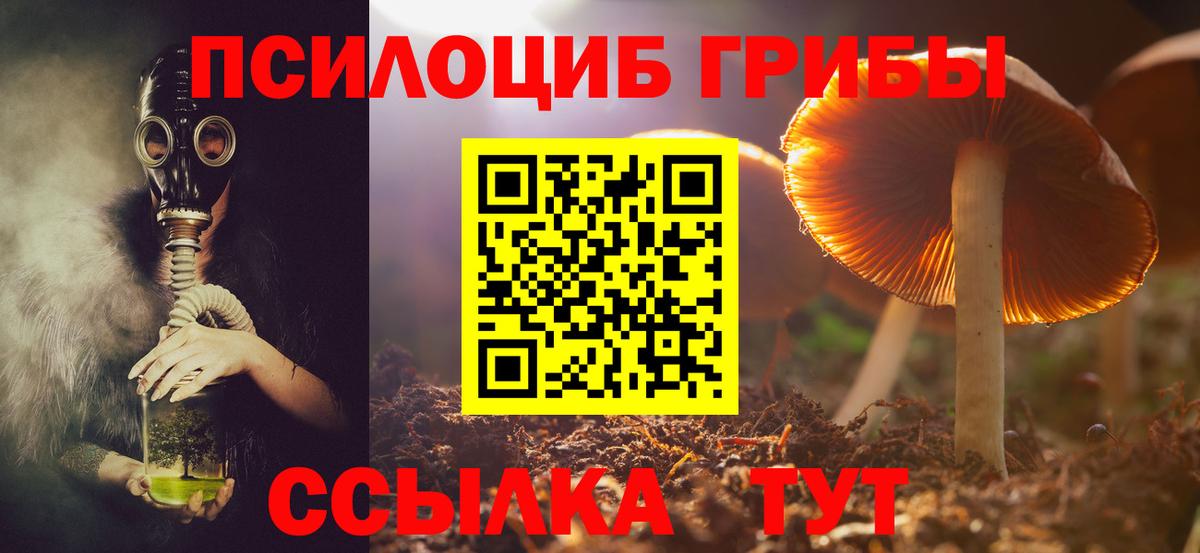 Псилоцибиновые грибы Magic Shrooms  Коммунар 